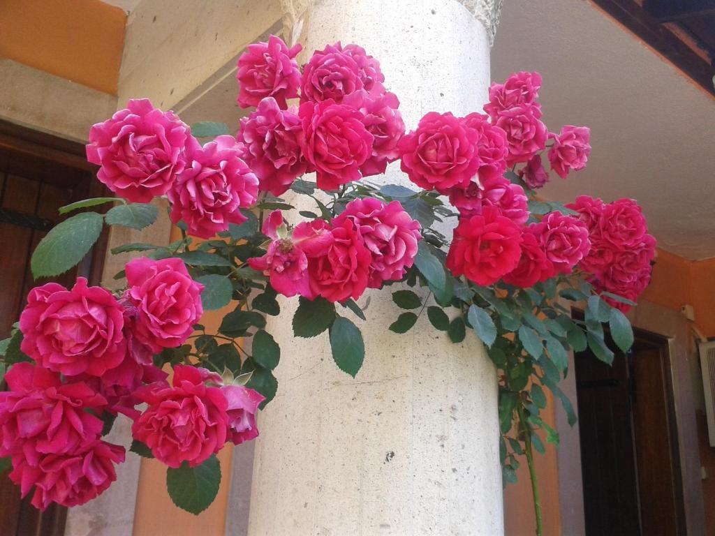 Akropolis Guest House 베르가마 외부 사진